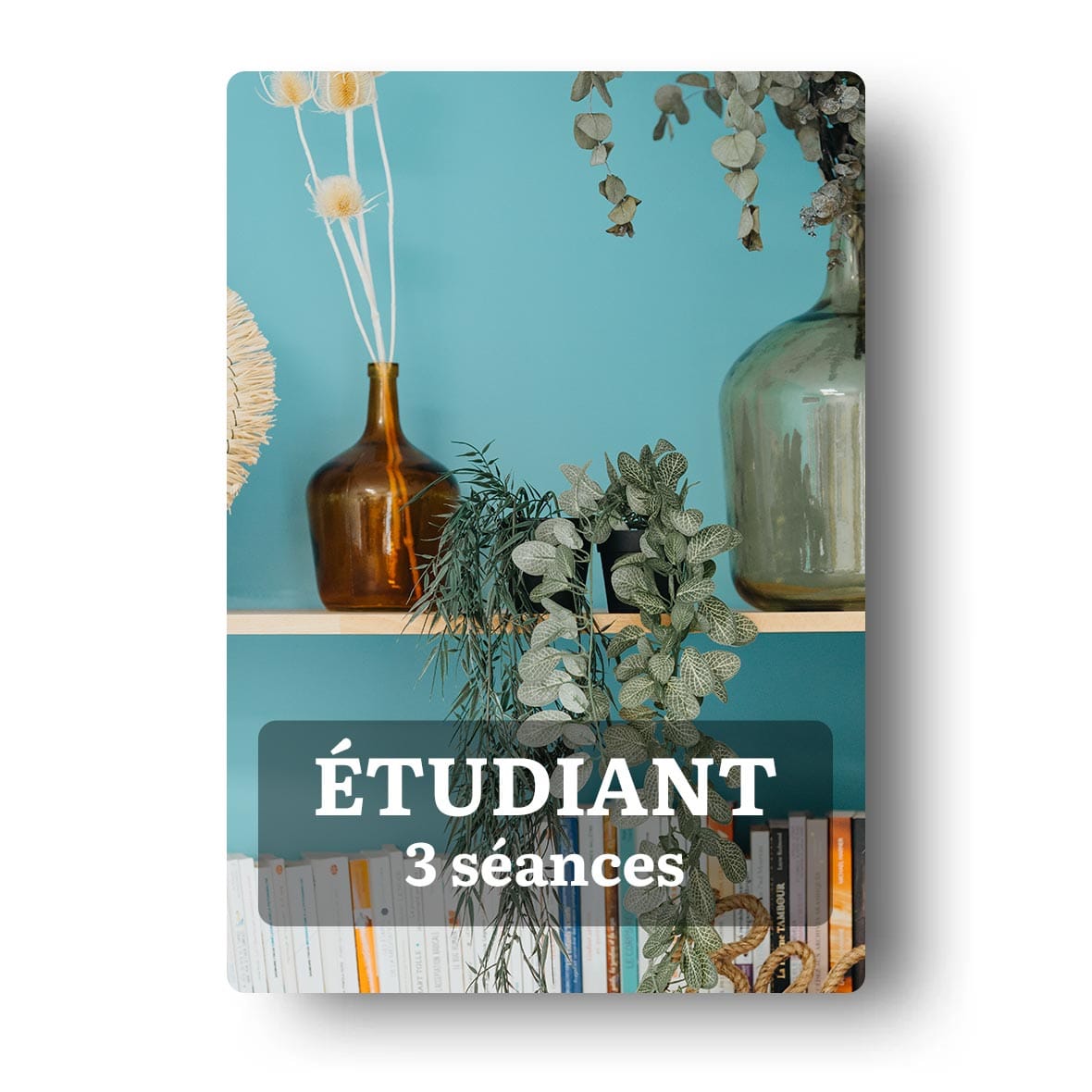 Photo d'étagère décorative dans le cabinet de Clarisse Meynet avec des plantes et livres, illustrant le pack de 3 séances pour étudiants.
