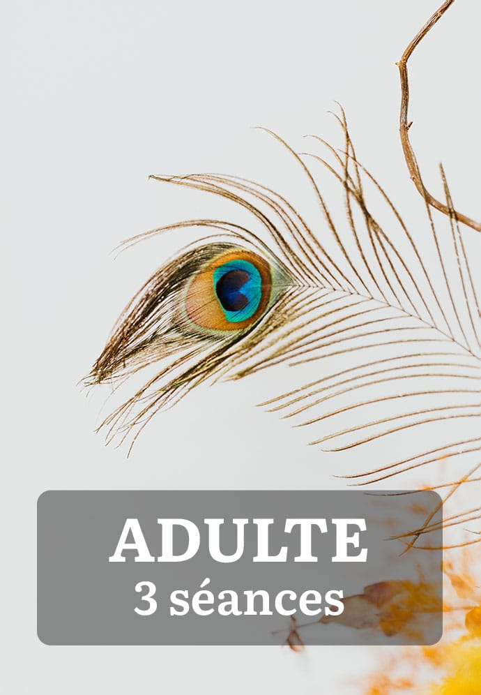 Pack 3 séances adulte – thérapie à Bordeaux ou en ligne, visuel plume de paon sur fond clair